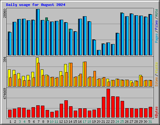 Daily usage for August 2024