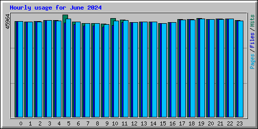 Hourly usage for June 2024