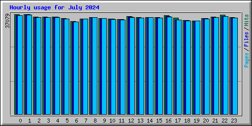 Hourly usage for July 2024