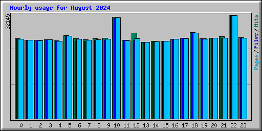 Hourly usage for August 2024