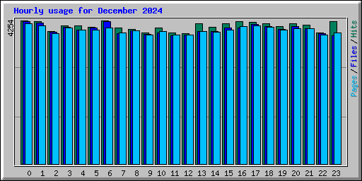 Hourly usage for December 2024